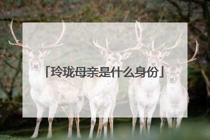 玲珑母亲是什么身份