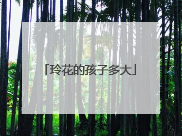 玲花的孩子多大