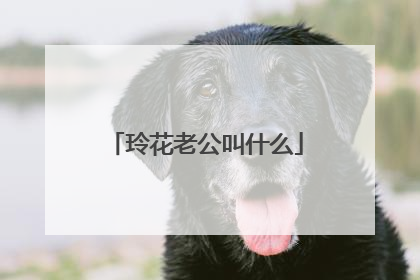 玲花老公叫什么