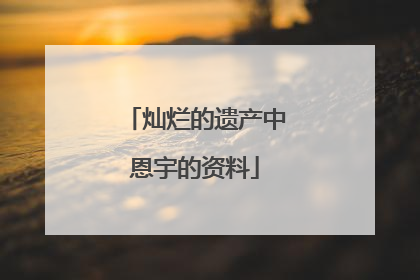 灿烂的遗产中恩宇的资料
