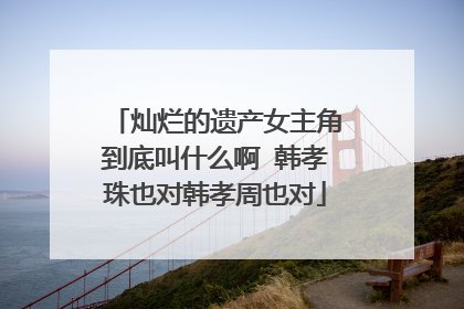 灿烂的遗产女主角到底叫什么啊 韩孝珠也对韩孝周也对