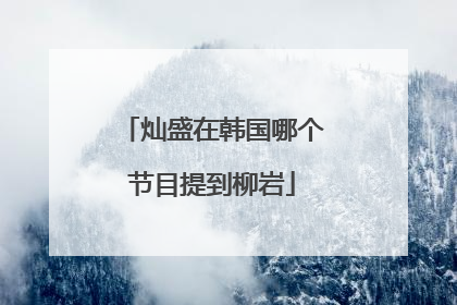 灿盛在韩国哪个节目提到柳岩