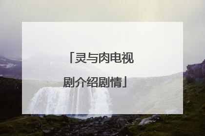 灵与肉电视剧介绍剧情