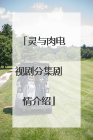 灵与肉电视剧分集剧情介绍