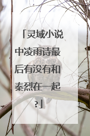 灵域小说中凌雨诗最后有没有和秦烈在一起?