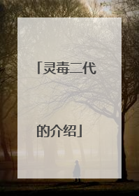 灵毒二代的介绍