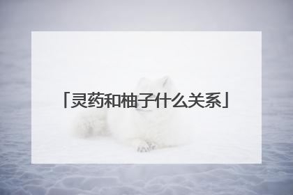 灵药和柚子什么关系