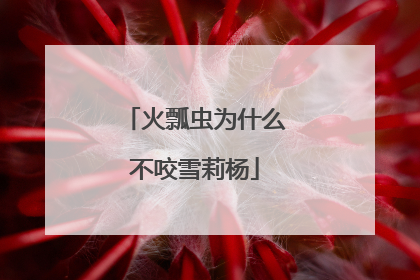 火瓢虫为什么不咬雪莉杨