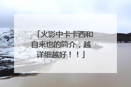 火影中卡卡西和自来也的简介，越详细越好！！