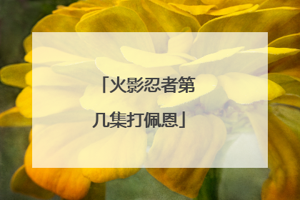 火影忍者第几集打佩恩