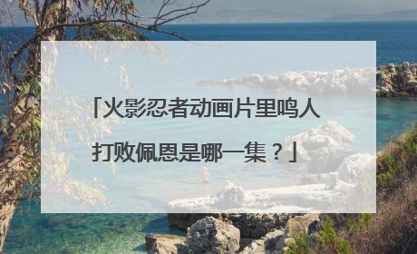 火影忍者动画片里鸣人打败佩恩是哪一集?