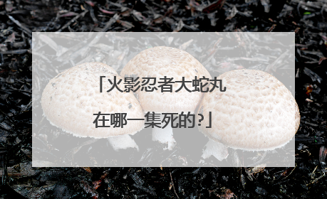 火影忍者大蛇丸在哪一集死的?