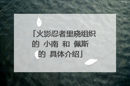火影忍者里晓组织的 小南 和 佩斯的 具体介绍
