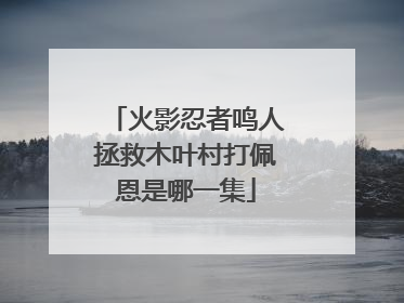 火影忍者鸣人拯救木叶村打佩恩是哪一集