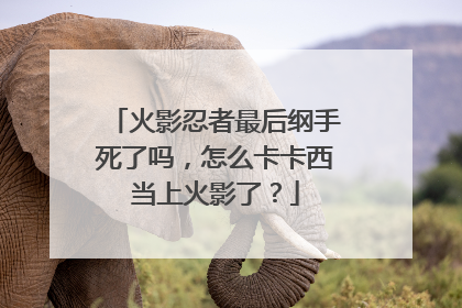 火影忍者最后纲手死了吗，怎么卡卡西当上火影了？