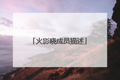 火影晓成员描述