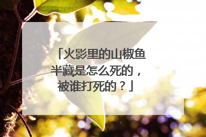 火影里的山椒鱼半藏是怎么死的,被谁打死的?