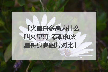 火星哥多高为什么叫火星哥 泰勒和火星哥身高图片对比