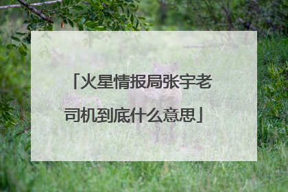 火星情报局张宇老司机到底什么意思