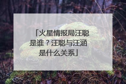 火星情报局汪聪是谁？汪聪与汪涵是什么关系