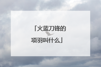 火蓝刀锋的项羽叫什么