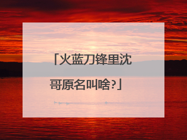 火蓝刀锋里沈哥原名叫啥?