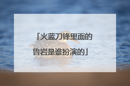 火蓝刀锋里面的鲁岩是谁扮演的