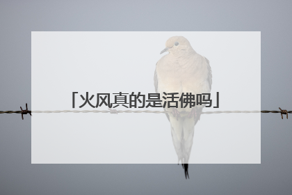 火风真的是活佛吗