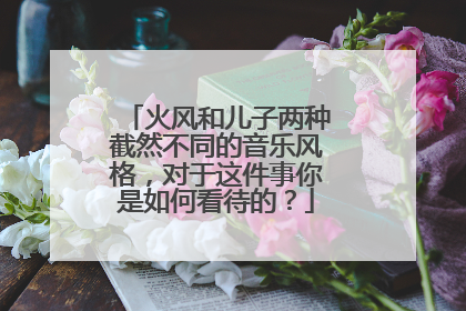 火风和儿子两种截然不同的音乐风格，对于这件事你是如何看待的？