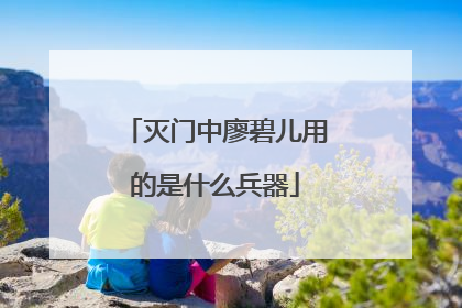 灭门中廖碧儿用的是什么兵器