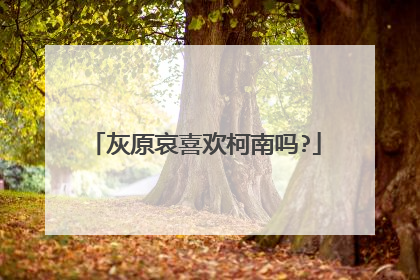 灰原哀喜欢柯南吗?