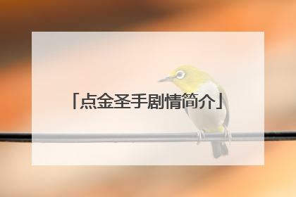 点金圣手剧情简介