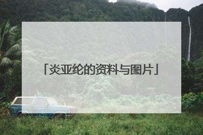 炎亚纶的资料与图片