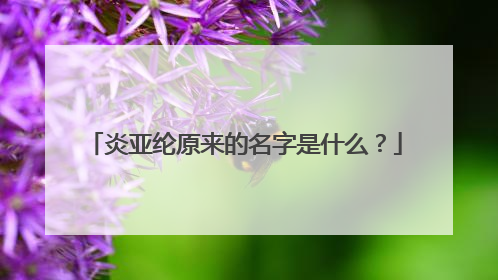 炎亚纶原来的名字是什么？