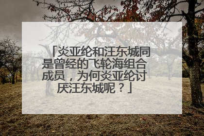炎亚纶和汪东城同是曾经的飞轮海组合成员，为何炎亚纶讨厌汪东城呢？