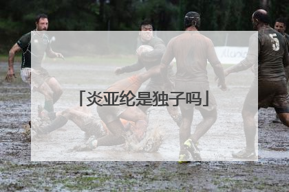 炎亚纶是独子吗