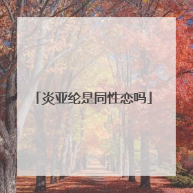 炎亚纶是同性恋吗