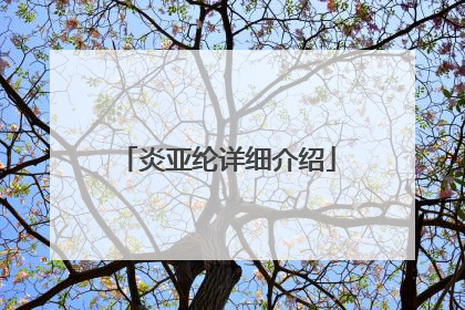 炎亚纶详细介绍