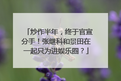 炒作半年，终于官宣分手！张继科和景田在一起只为进娱乐圈？