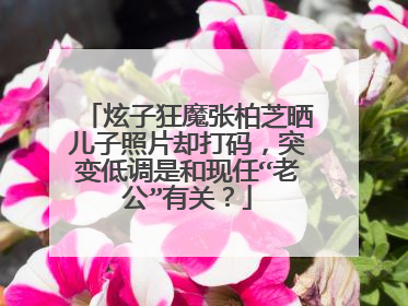 炫子狂魔张柏芝晒儿子照片却打码,突变低调是和现任“老公”有关?