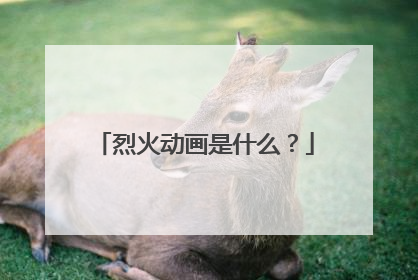 烈火动画是什么？