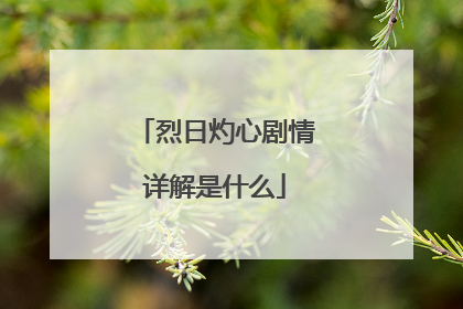 烈日灼心剧情详解是什么