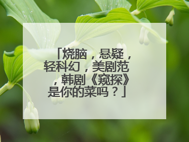 烧脑,悬疑,轻科幻,美剧范,韩剧《窥探》是你的菜吗?