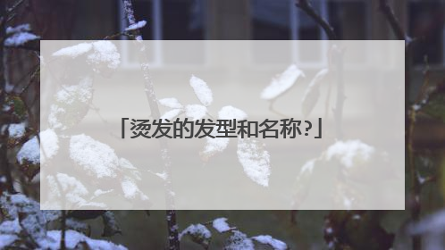 烫发的发型和名称?