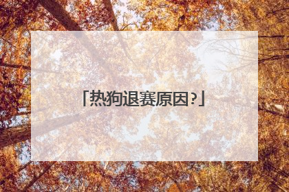 热狗退赛原因?