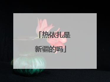 热依扎是新疆的吗