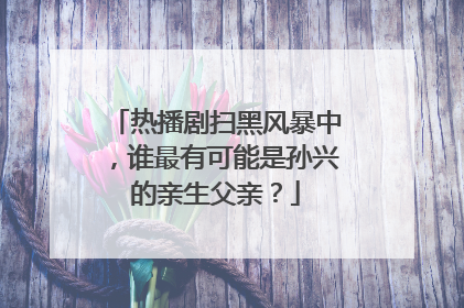 热播剧扫黑风暴中，谁最有可能是孙兴的亲生父亲？