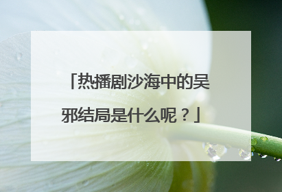 热播剧沙海中的吴邪结局是什么呢？