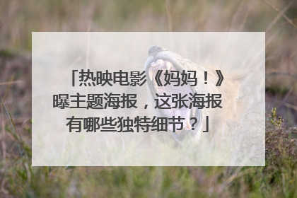 热映电影《妈妈！》曝主题海报，这张海报有哪些独特细节？