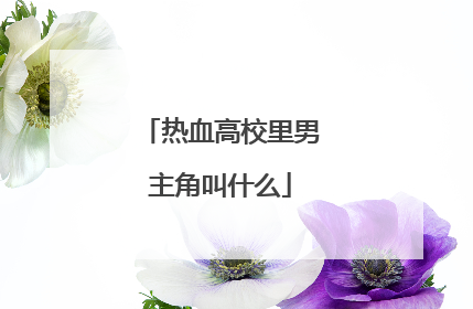 热血高校里男主角叫什么